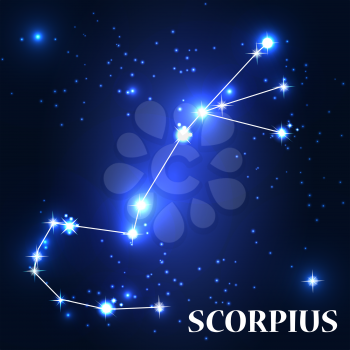 Symbol. Scorpius Zodiac Sign. Vector Illustration EPS10