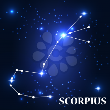 Symbol: Scorpius Zodiac Sign. Vector Illustration. EPS10