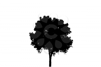 Tree Silhouette Isolated on White Backgorund. Vector Illustration. EPS10