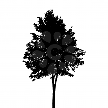 Tree Silhouette Isolated on White Background. Vector Illustration. EPS10