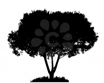 Tree Silhouette Isolated on White Backgorund. Vecrtor Illustration