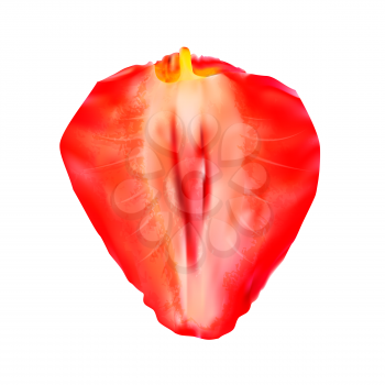 Red Sweet Tasty Strawberry. Vector Illustration. EPS10