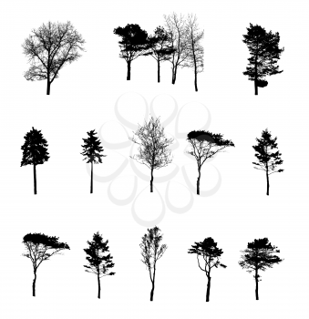 Set of Tree Silhouette Isolated on White Backgorund. Vecrtor Illustration
