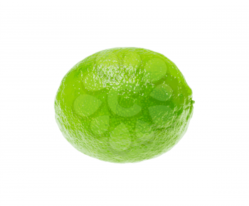 Fresh Green Lime Isolated on White Background. Vector Illustration