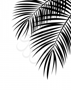 Palm Leaf Vector Background Isolated Illustration EPS10