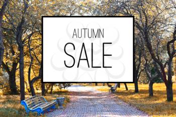 Autumn Sale Poster Background Illustration