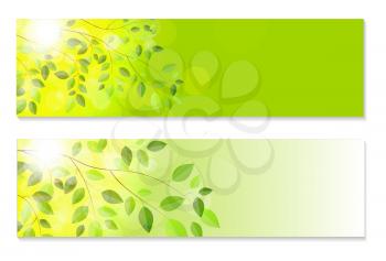 Shiny Spring Natural Leaves Background. Vector Illustration EPS10