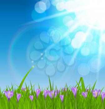 Summer Abstract Background with Grass. Vector Illustration. EPS10