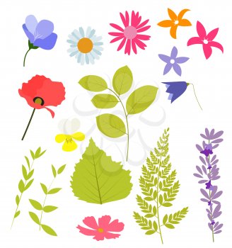 Abstract Natural Spring Elements from Flowers and Leaves. Vector Illustration EPS10