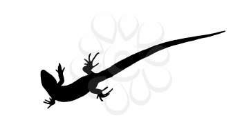 Silhouette of a lizard that creeps. Isolated Vector Illustration. EPS10