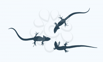 Silhouette of a lizard that creeps. Isolated Vector Illustration. EPS10