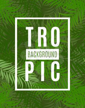 Beautifil Palm Tree Leaf Tropical Silhouette Background Vector Illustration EPS10