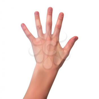 Realistic 3D Silhouette of an open hand on White Background. Vector Illustration. EPS10