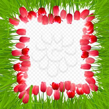 Floral Background with Tulips on Transparent Background. Vector Illustration. EPS10