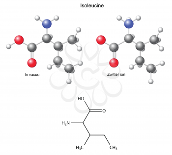 Isoleucine (Ile) - chemical structural formula and models, amino acid, in vacuo, zwitterion, 2D and 3D illustration, balls and sticks, isolated on white background, vector, eps8