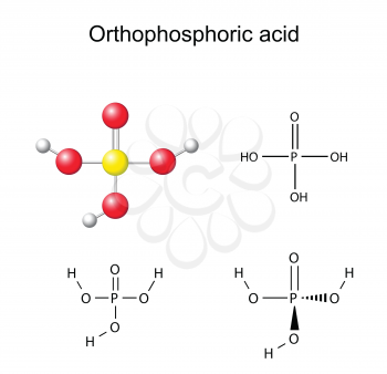 Structural chemical formulas and model of orthophosphoric acid (E338), 2D and 3D illustration, isolated on white background, balls and sticks, vector, eps 8