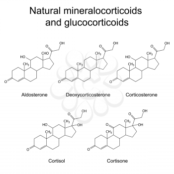 Chemical structures of  corticosteroid hormones: aldosterone, corticosterone, deoxycorticosterone, hydrocortisone, cortisone, 2d isolated vector, eps 8