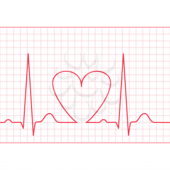 ECG - electrocardiogram on red grid , 2d vector on white background, eps 8