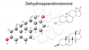 Structural chemical formulas and model of dehydroepiandrosterone molecule, 2D and 3D Illustration, vector, isolated on white background, eps8