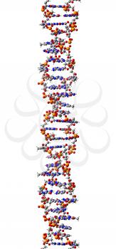 Nucleic Clipart