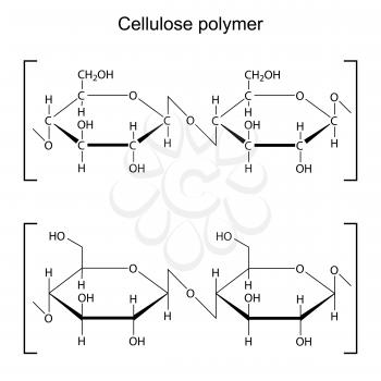 Polysaccharide Clipart