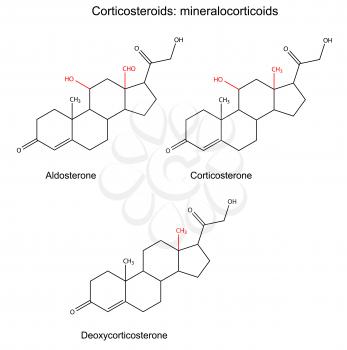 Mineralocorticoid Clipart