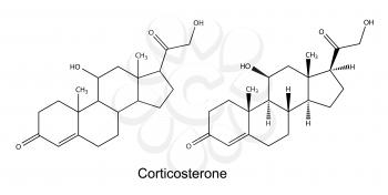Corticosterone Clipart