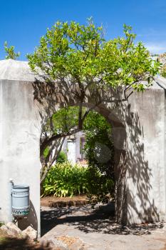 Lemon tree grows out of a park through white stone gate with arch