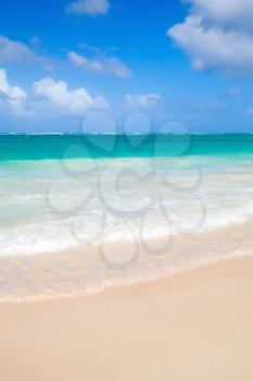 Vertical coastal sea landscape. Atlantic ocean coast, Dominican republic. Punta Cana