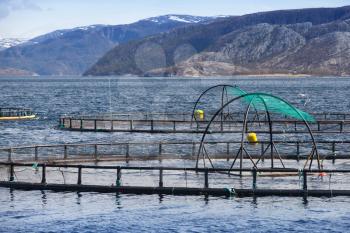 Norwegian fish farm for salmon growing in open sea water