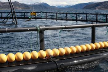 Fragment of fish farm for salmon growing in Norway
