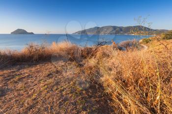 Dry grass on the coast of Zakynthos island, Greece. Popular touristic destination for summer holidays