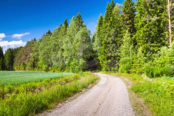Turning empty rural road near green field under blue sky in bright summer day. Empty landscape background photo of Finland
