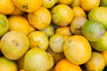 Fresh lemons lay on the counter of street food market on Madeira island, Portugal. Close-up photo with selective focus