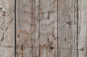 Old gray uncolored wooden wall, background photo texture