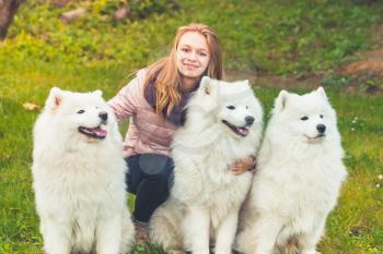 Happy Caucasian girl with three white Samoyed dogs on a walk in autumn park