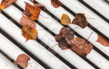 Fallen autumn leaves lay on white wooden park bench, background photo