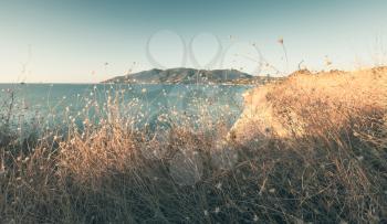 Dry grass with still sea on a background. Coastal landscape of Zakynthos island, Greece. Photo with tonal correction effect