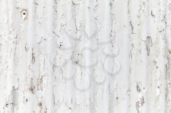 White grungy corrugated metal fence, industrial wall background photo texture