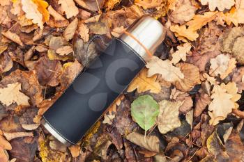 Stainless steel vacuum tourist thermos laying on fallen autumn leaves