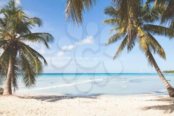 Tropical island beach, background photo with retro tonal correction photo filter effect