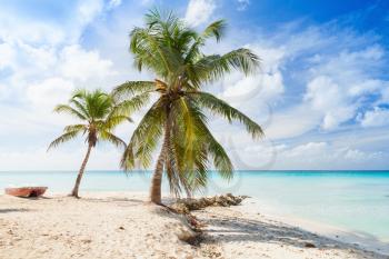 Coconut palms and old boat are on white sandy beach. Caribbean Sea, Dominican republic, Saona island