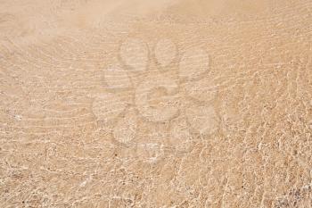 Atlantic Ocean coast background texture, sand under shallow ripple water
