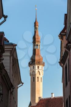 Main city landmark. Town hall tower in Tallinn, Estonia