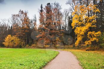 Empty road in autumn park. Background photo, Russia