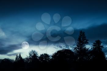 Full moon in blue sky over dark forest at night; natural background photo