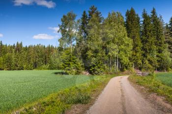 Turning empty rural road goes near green field under blue sky in bright summer day. Empty landscape background photo, Finland