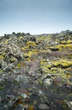 Iceland, empty vertical landscape with green moss on dark wet rocks