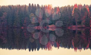 Autumn landscape with threes on a lake coast, colorful tonal filter photo correction