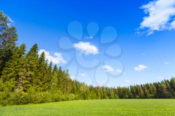 Rural summer landscape, empty green field and forest under blue sky. Europe, Finland